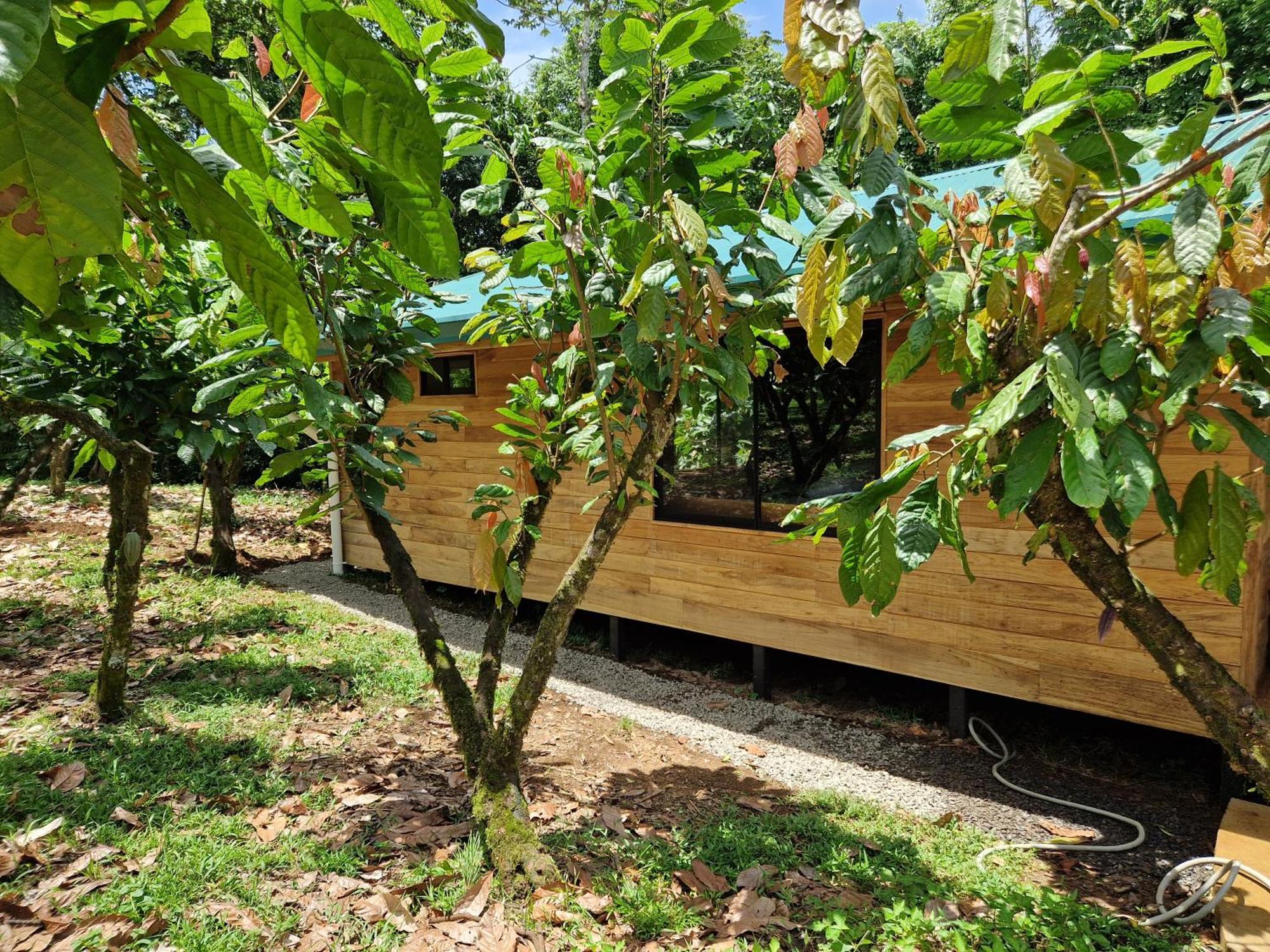 Finca Amistad Cacao Lodge Bijagua Kültér fotó
