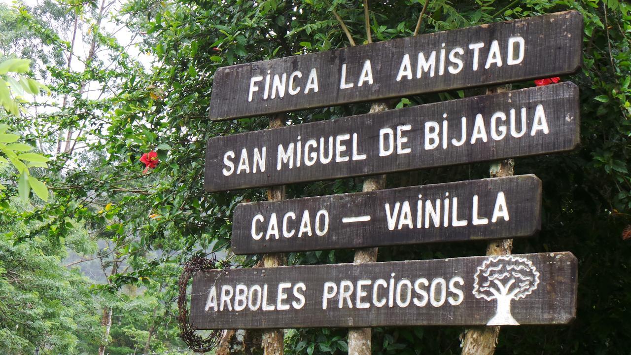 Finca Amistad Cacao Lodge Bijagua Kültér fotó