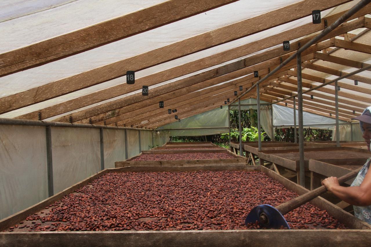 Finca Amistad Cacao Lodge Bijagua Kültér fotó