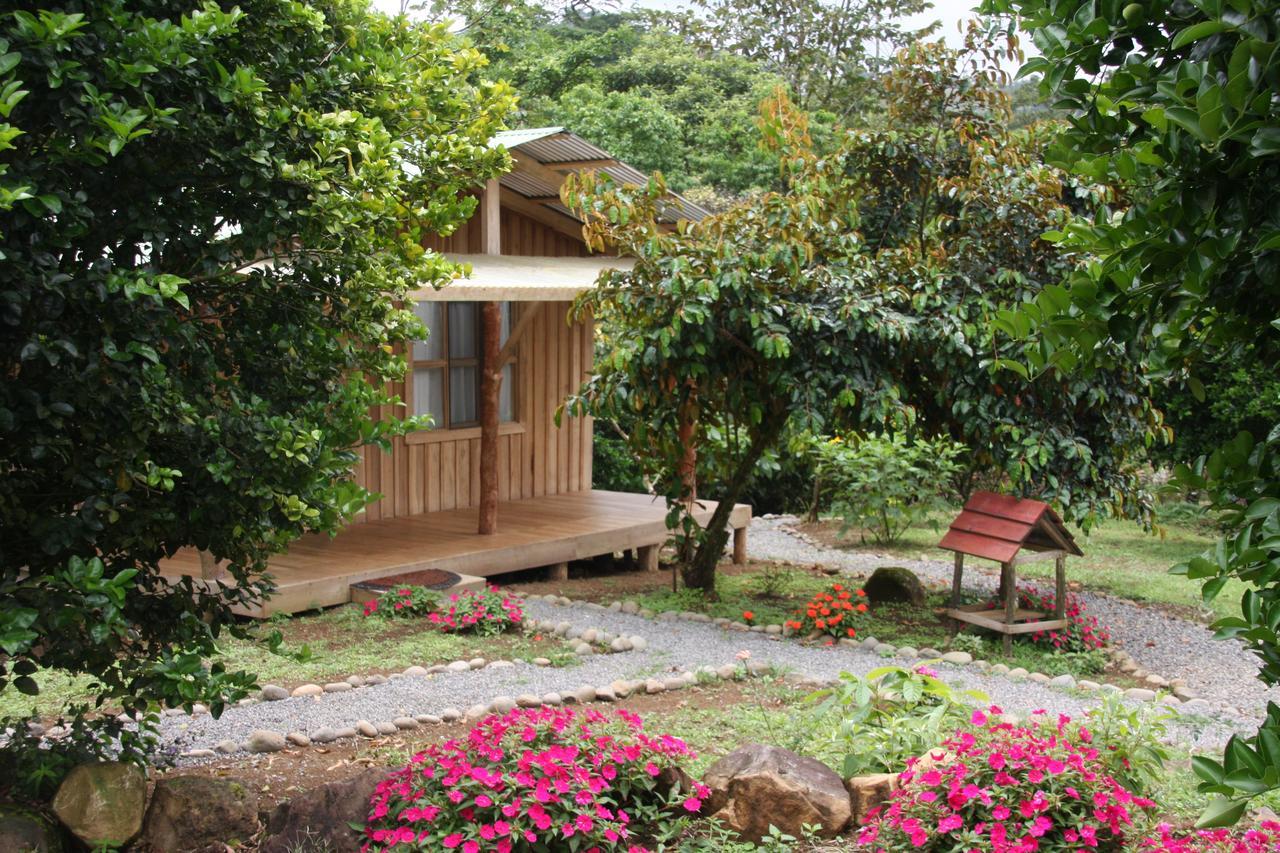 Finca Amistad Cacao Lodge Bijagua Kültér fotó