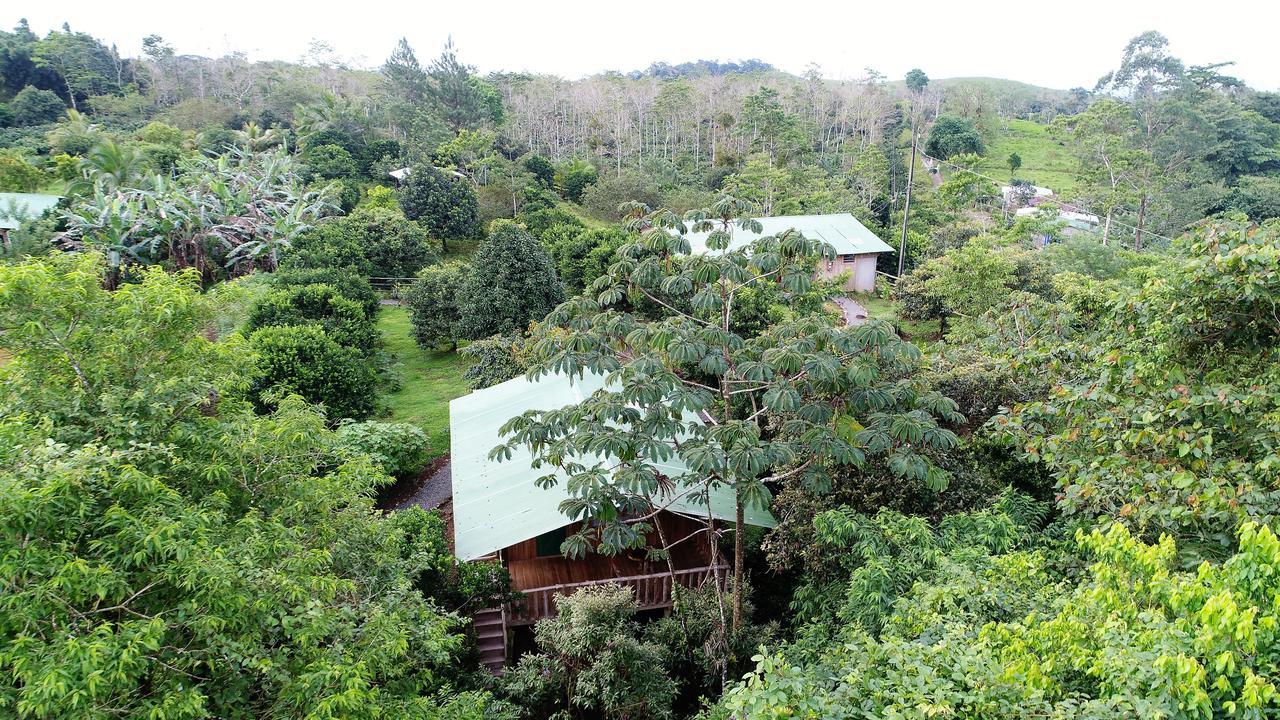 Finca Amistad Cacao Lodge Bijagua Kültér fotó