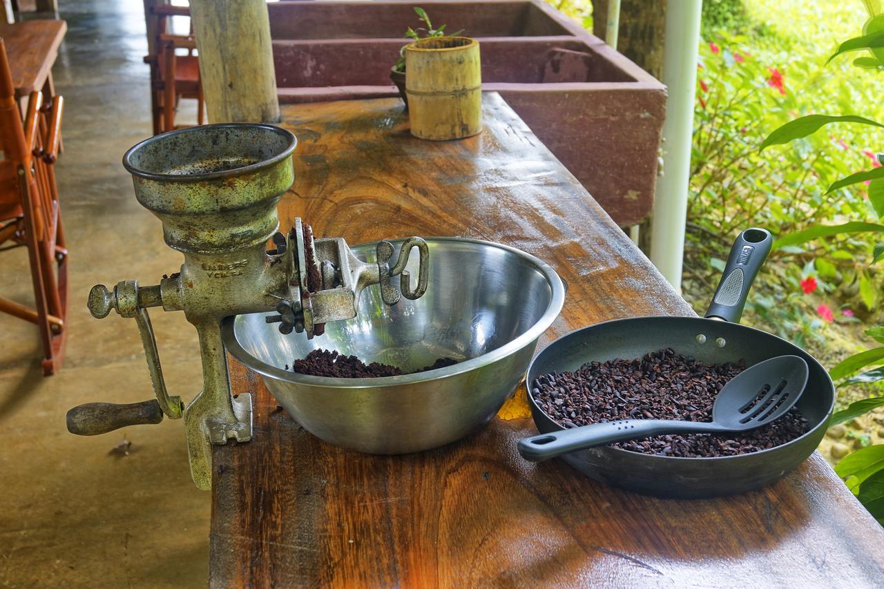 Finca Amistad Cacao Lodge Bijagua Kültér fotó