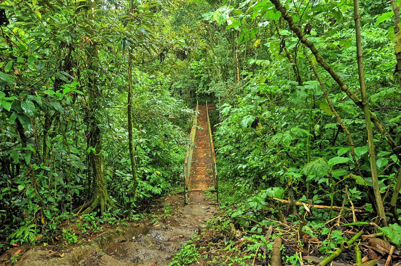 Finca Amistad Cacao Lodge Bijagua Kültér fotó