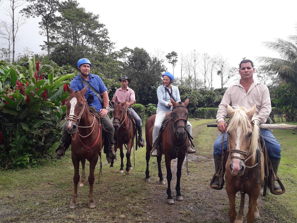 Finca Amistad Cacao Lodge Bijagua Kültér fotó