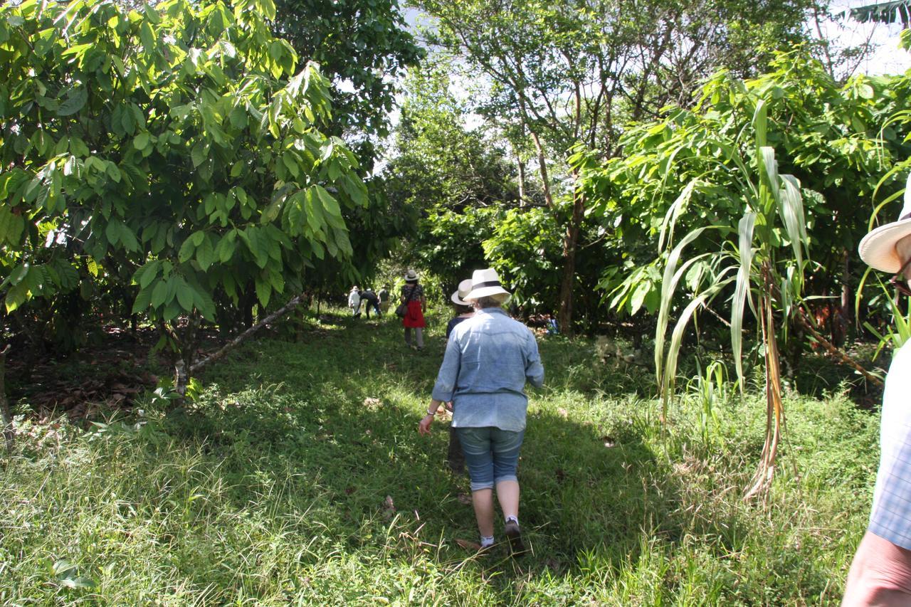 Finca Amistad Cacao Lodge Bijagua Kültér fotó