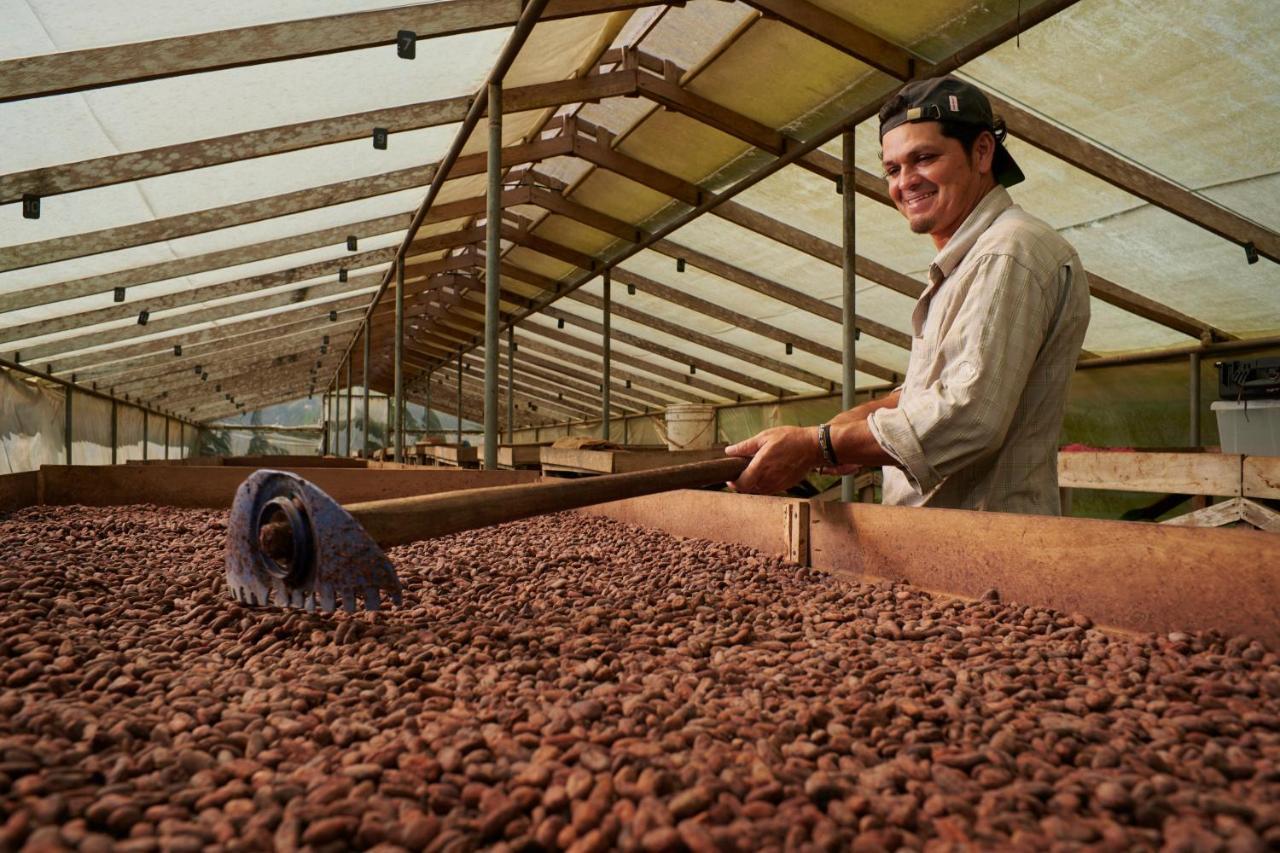 Finca Amistad Cacao Lodge Bijagua Kültér fotó