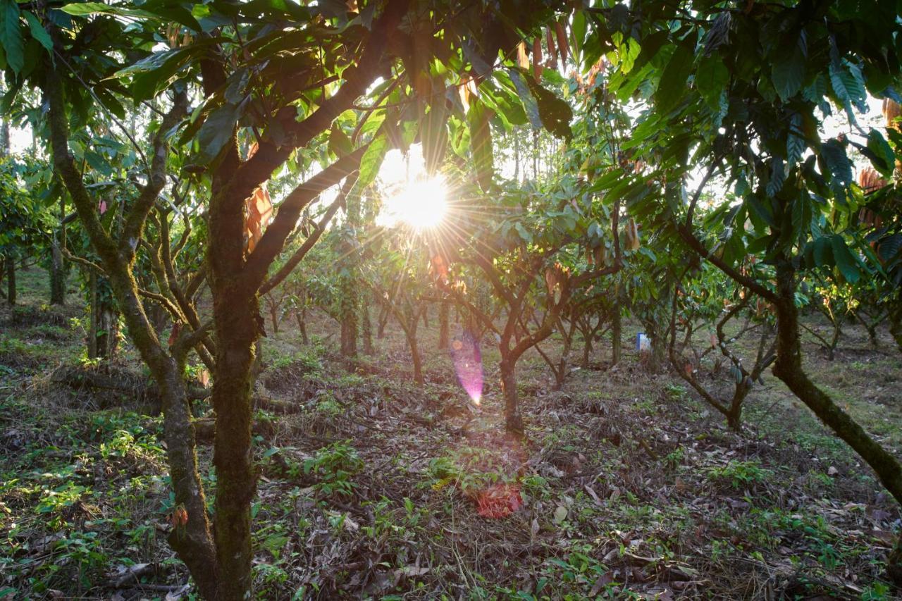 Finca Amistad Cacao Lodge Bijagua Kültér fotó